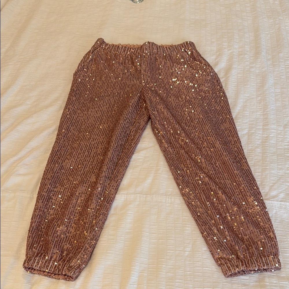 Sequin Embellished Velvet Pants